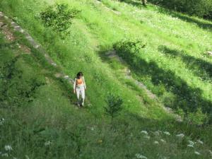 A view of a path to Doro Photo