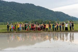 Planting rice Photo
