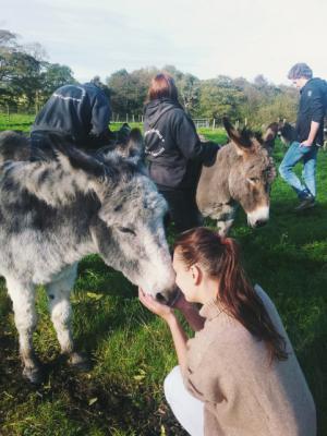 Volunteer at Glebe Photo