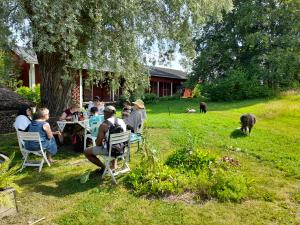 Garden Photo