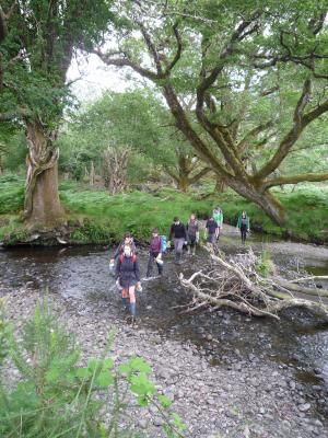 Group of volunteers at Killarney National Park Photo