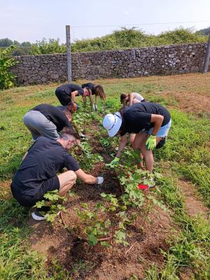 Volunteers in activities Photo