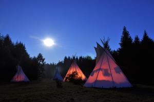 The tee pees Photo