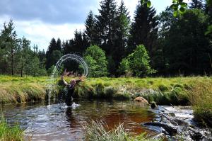 The river Photo