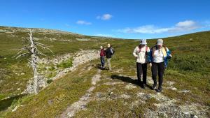 Hiking in Lapland. Photo