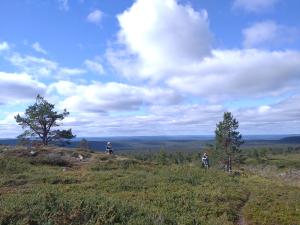 Hiking on the hillside. Photo