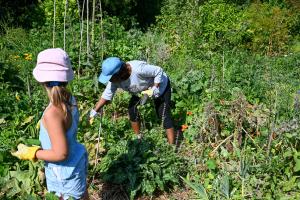 Volunteers doing agriculture work Photo
