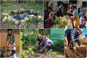 Different Activities Photo